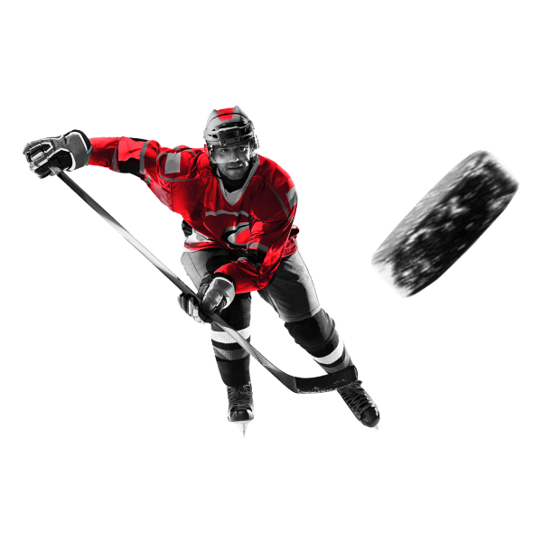 ULTIMATE NHL DATA SOLUTIONS